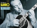 The Best of Django Reinhardt 180 G. Colored LP [VINYL]