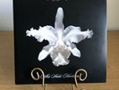 Kings Of Leon “Aha Shake Heartbreak” Gatefold 2 LP Limited Clear Vinyl