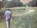 Old Ways - Neil Young (1985 Australia)