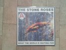 The Stone Roses   UK 1st Pressing   Fools Gold  9.53  12