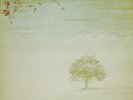 GENESIS - Wind & Wuthering LP - 180 Gram Vinyl Album REMASTERED UK IMPORT RECORD