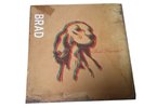 Brad Best Friends? Vinyl MWR1526 Mint/Mint Pearl Jam Stone Gossard