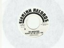 THE BEEFEATERS ( THE BYRDS) - PLEASE LET ME LOVE YOU - PROMO ELEKTRA 45 - RARE