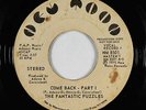 70s Soul 45 - Fantastic Puzzles - Come Back (Part 1) - New Moon - mp3 - promo
