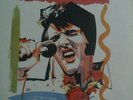 12Stück LPs, Vinyl ELVIS Altern. Aloha from Hawaii RCA D #2 PLUS RARITÄTEN