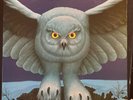 RUSH. FLY BY NIGHT. MERCURY. SRM-1-1023. 1975. FIRST US PRESSING. MASTERDISK