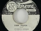 Burning Spear/Brentford All Stars 