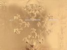 Jay-Z And Kanye West Watch The Thorne 2 LP PICTURE DISC Explicit Sigillato