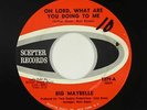 Northern Soul 45 - Big Maybelle - Oh Lord, What Are You Doing - Scepter - mp3