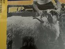 Paul McCartney Ram Half Speed Master - New / Sealed