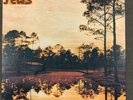 Starlite Walker by Silver Jews (Vinyl, Oct-1994, Drag City) original press LP