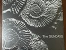 The Sundays Reading, Writing And Arithmetic LP Black Vinyl US 2018 RSD NEW