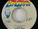 Horace Andy 
