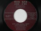 Funk/Sweet Soul 45 - James Lewis Fields - How Long Shall I Wait - Top Pop - VG+