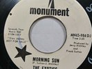 The Exotics - Morning Sun / Fire Engine Red Garage 45 Monument 984 promo VG
