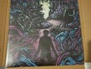 A Day To Remember Homesick Black Vinyl Lp Used With insert