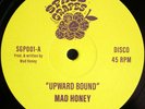 MAD HONEY - UPWARD BOUND - 12 SPACE GRAPES VINYL FUNK BOOGIE NEW
