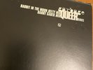 RABBIT IN THE MOON-GARBAGE-QUEER-REMIXES-1997-MUSHROOM-trash 12-MONK-TAMPA?