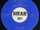 Boss NC Garage Rocker / Instro 45 THE NIGHT OWLS Geraldine / Thats EKO rare hear