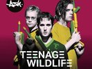 Ash: Ash Teenage Wildlife 25 Years of Vinyl: Vinyl