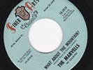 Northern Soul The Marvells What About The Mountain Finer Arts  Original
