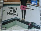 Machine Gun Kelly - Tickets to My Downfall - 2 Pink VINYL LP RECORDS