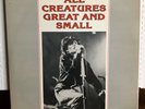 SIOUXSIE & The Banshees - All Creatures Great & Small Live UK '85 New Wave PUNK