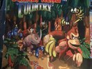 Donkey Kong Country PURPLE LP Vinyl Record SNES Not Moonshake VGM #/75 Diddy Ed.