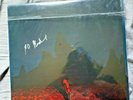 Phoebe Bridgers Punisher Blue/Green Swirly Vinyl LP + Signed 12x12 Print