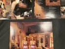 catherine wheel 10” X 2 Like Cats and Dogs ORIGINAL 1996 Mercury RARE