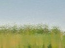Fennesz - 17.02.12 - 2 x LP Ambient Drone Vinyl Album NEW Experimental Record