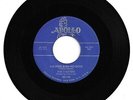 DOO WOP 45 THE CHESTERS THE FIRES BURN NO MORE ON APOLLO   VG+  ORIGINAL