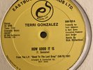 Terri Gonzalez How Good It Is / Caught Up 12” 1980 Disco Boogie Funk