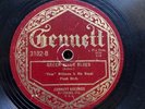 JAZZ: FESS WILLIAMS & HIS ROYAL FLUSH ORCH ‘GREEN RIVER BLUES’ 1925 GENNETT 78