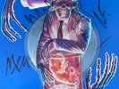 Megadeth - Hanger 18 Signed Autographed 12 Inch Vinyl, Rust In Peace