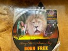 Brian May & Kerry Ellis, Born Free, Limited No 781/1000 Picture Disc Vinyl