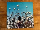 The Creatures (Siouxsie): Boomerang 12