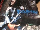 busta rhymes when disaster strikes, vinyl