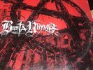 busta rhymes vinyl, Anarchy