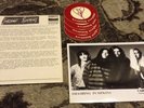 SMASHING PUMPKINS 1991 Gish Caroline PRESS KIT PHOTO Siamese Dream STICKERS