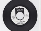 Garage 45 Plymouth Rockers Walk a Lonely Mile Don't Say Why 1966 Valiant Promo