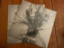 Spiritbox - Self Titled EP - Vinyl LP - Pale Chord Records - BRAND NEW