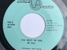 The Next of Kin 45 Garage Punk Mr. Soul Neil Young BFTG Psych A Lovely Song