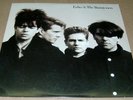 ECHO AND THE BUNNY MEN,  1987   LP VINYL ALBUM,