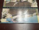 Record Album LP Widespread Panic Space Wrangler Landslide Records VG
