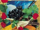 LP 33 Ligabue – Lambrusco Coltelli Rose & Pop Corn - 1991 full color booklet