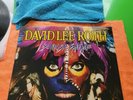 David Lee Roth 