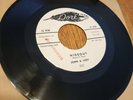 JOHN & JUDY HIDEOUT LOVEBUG DORE WL PROMO 45 rpm GARAGE surf Rockabilly