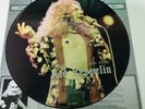 Robert Plant ( Led Zeppelin ) Chris Tetley Interview Picture Disc CT 1004