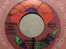 TOWNES VAN ZANDT - If I Needed You / Sunshine Boy - 45 Rpm -Poppy 90113